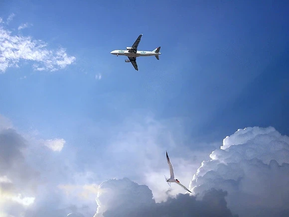 Авиакомпания Azur Air объявила сотрудникам о простое сроком до 6 месяцев