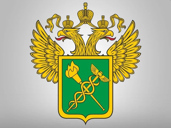 В таможне отрицают сообщения о задержке более 60 тонн товаров во «Внуково и «Шереметьево