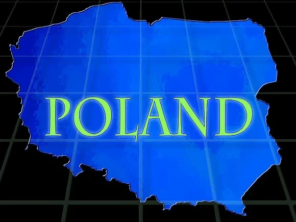 Экс-глава МИД Польши упрекнул страну в нежелании вводить санкции против России