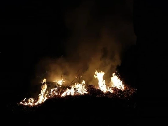 В Забайкальском крае зарегистрирован первый с начала года лесной пожар