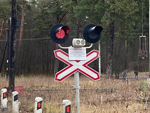 «Коммерсант: Правительство РФ из-за санкций отложило строительство новой железной дороги в Арктике