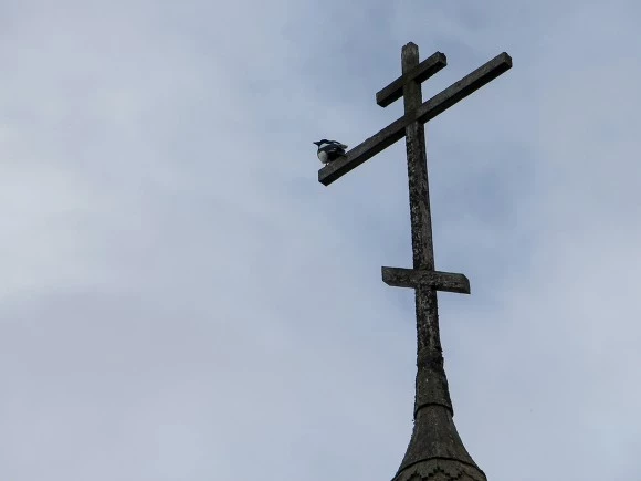 РПЦ просит Смольный безвозмездно передать ей пять зданий на Васильевском острове
