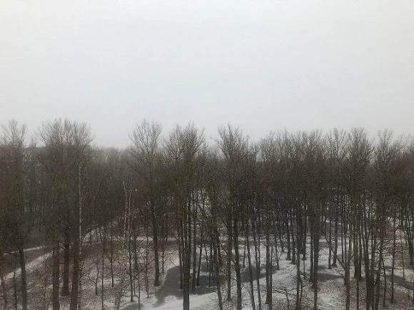 «Фонтанка: В Муринском парке нашли останки человека