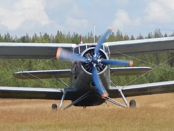 На Кубани врезался в линию электропередач и упал Ан-2