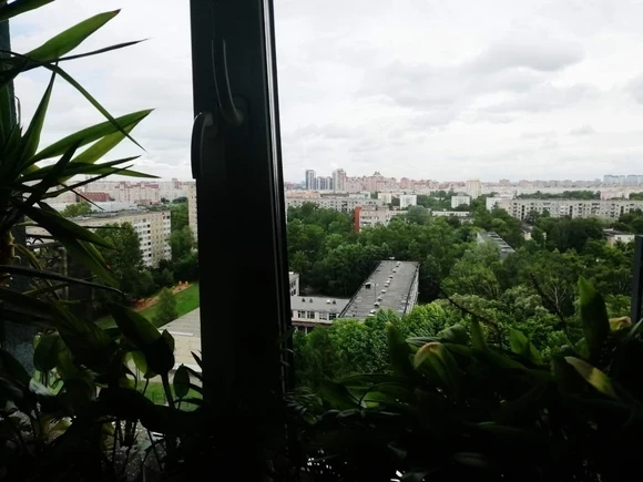 В Петербурге ребенок выжил после падения с четвертого этажа