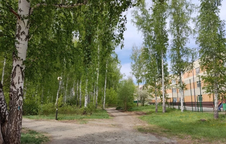 В «Парковом появятся новые сквер и экотропа