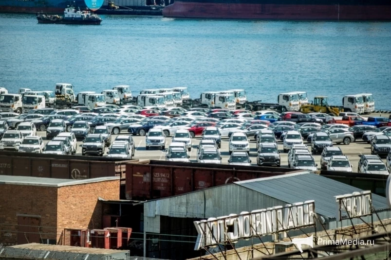 Гибридные авто обложили заградительным налогом, дальневосточники подписывают петицию