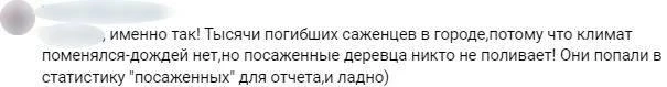 Статистика для отчета: петербуржцы раскритиковали «пиар-акцию Смольного по высадке деревьев
