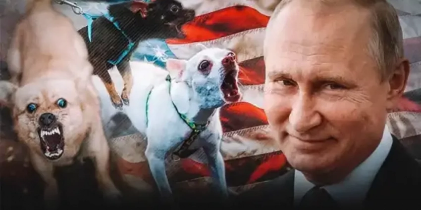 «Пусть умоляют: стало известно, что Путин сделает с зарвавшейся Прибалтикой