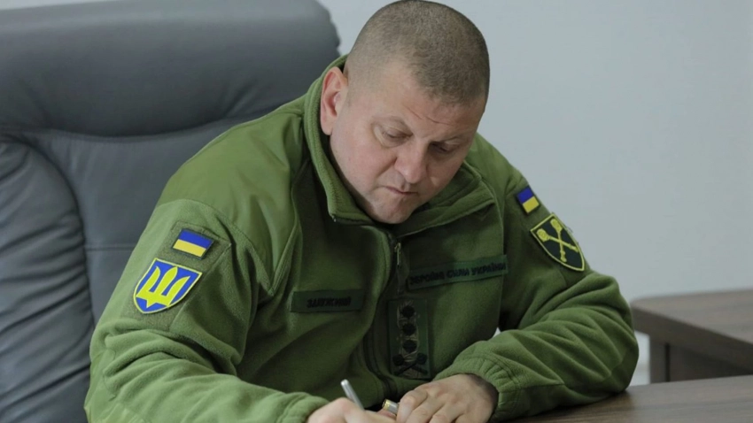 Монтян объяснила, зачем Залужный залег на дно и почему «воскрес именно сейчас