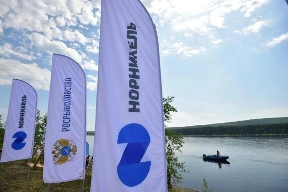 Глава Росрыболовства: «Уверен, что «Норникель все обязательства по восстановлению рыбных запасов выполнит