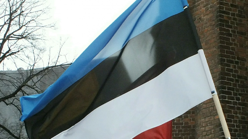 Премьер Эстонии Каллас: Украина не сможет вступить в НАТО, пока продолжается конфликт