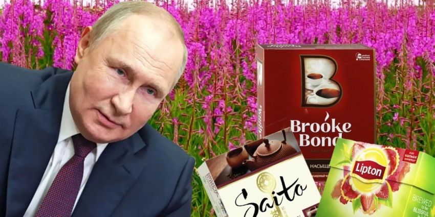 На смену уходящим «Липтону и «Брук Бонду проходит русский Иван-чай. Москва обещает поддержку отечественным производителям