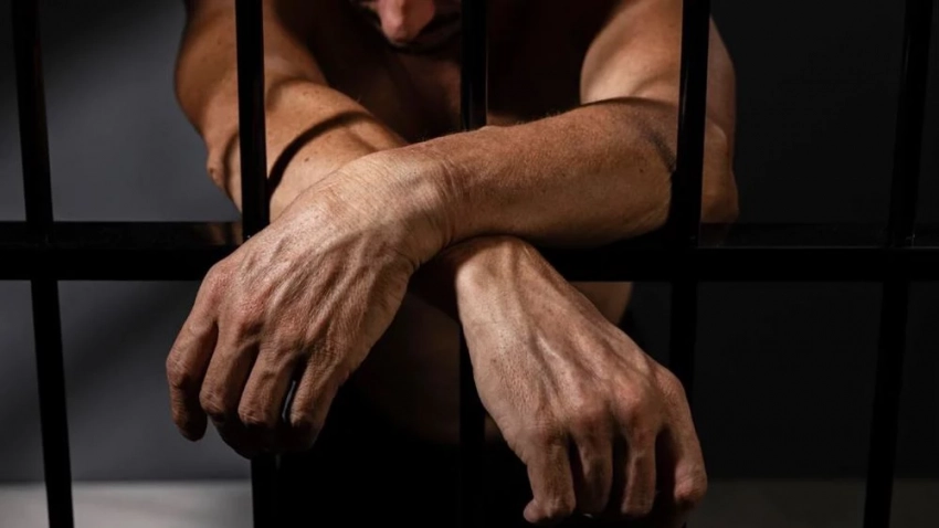 Адвокат Ризк: суд в США приступит к рассмотрению дела Винника 5 февраля