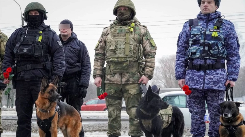 Генерал Воробьев наградил участвующих в СВО кинологов Росгвардии и рассказал о подвиге служебных собак