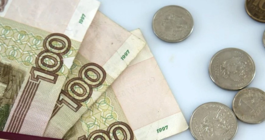 Какие льготы положены дачникам в 2023 году и как их можно получить, на что они распространяются