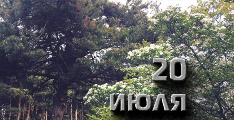 Какие праздники, простые и церковные, отмечают сегодня, 20 июля 2023 года