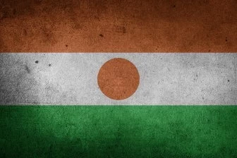 Хватит ли у Виктории Нуланд «печенек на Нигер