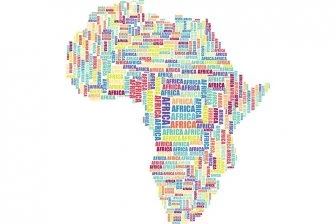 Визит Виктории Нуланд в Нигер к позитивным для США результатам не привёл