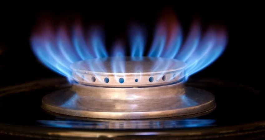 Австрии жизненно необходим газ из России, заявил экс-менеджер OMV