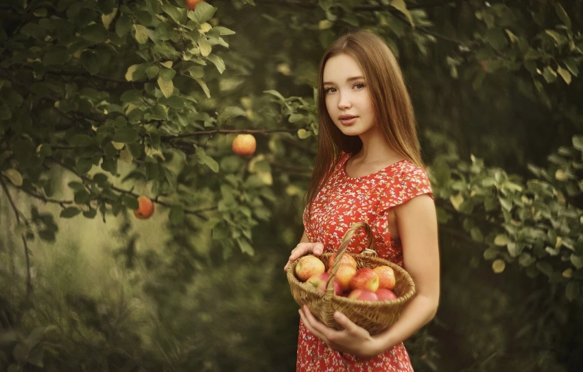 Когда, как и какие яблоки собирать женщинаме к 19 августа, чтобы привлечь в дом достаток и счастье