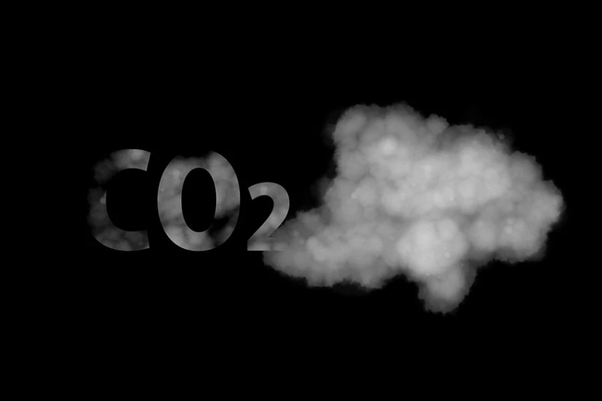 19 «массовых вымираний имели уровни CO2, к которым человечество приближается сейчас