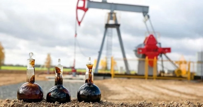 Цены на нефть остаются стабильными 11 августа: данные из Китая уравновешивают последствия решений ОПЕК