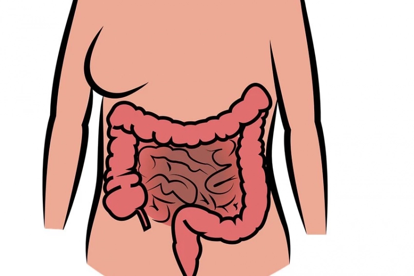 Scientific Reports: продолжительное экранное время увеличивает риск синдрома раздраженного кишечника