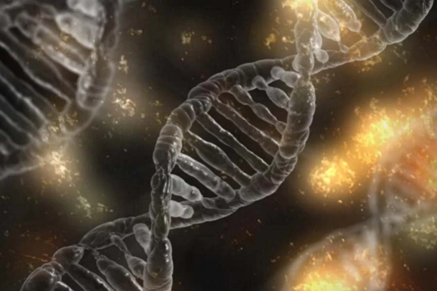 PNAS: палеогенетики расшифровали семейную систему 3800-летнего сообщества бронзового века