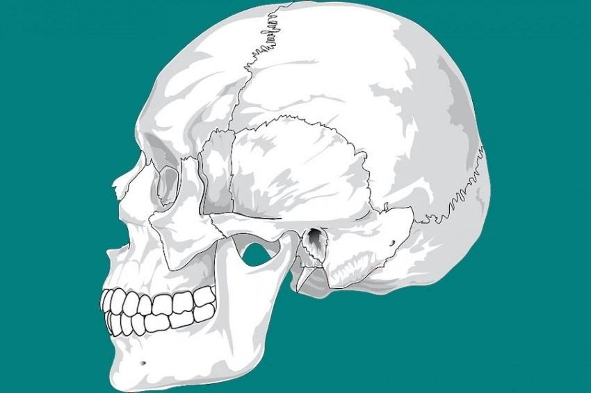 Cell: состояние черепа может свидетельствовать о воспалении мозга
