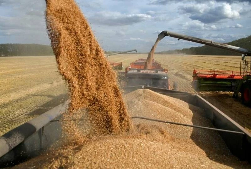 Россия и Турция договорились о поставке 1 млн тонн зерна