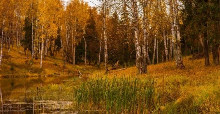 Открытки с Рождеством Пресвятой Богородицы 22 сентября: как поздравить с попразднством