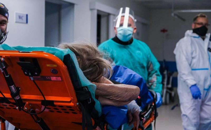 Сколько заболевших легионеллой в Польше сегодня, что это за заболевание