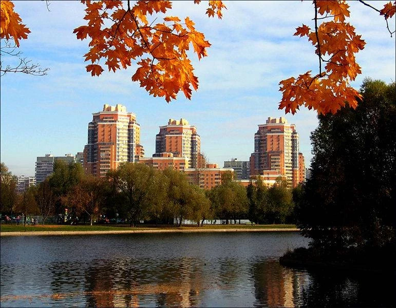Когда в Москве начнется похолодание, что говорят синоптики