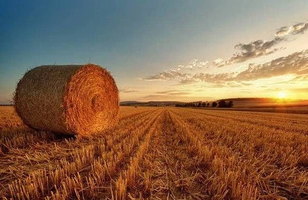 Старинные приметы и праздники 15 сентября 2023 года: что нельзя, а что можно делать в этот день