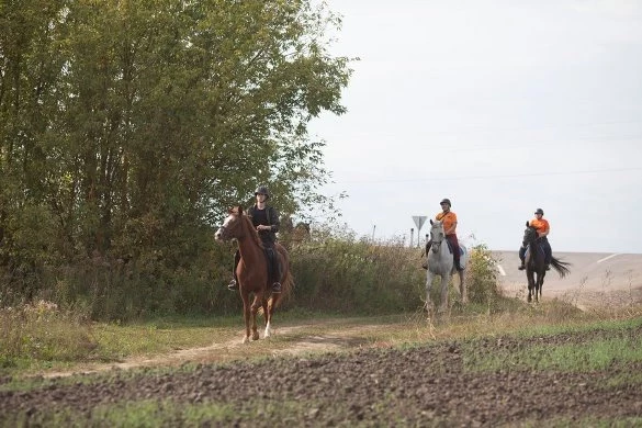 В Орловской области конный отряд «Лиза Алерт попробовал свои силы в полевых условиях