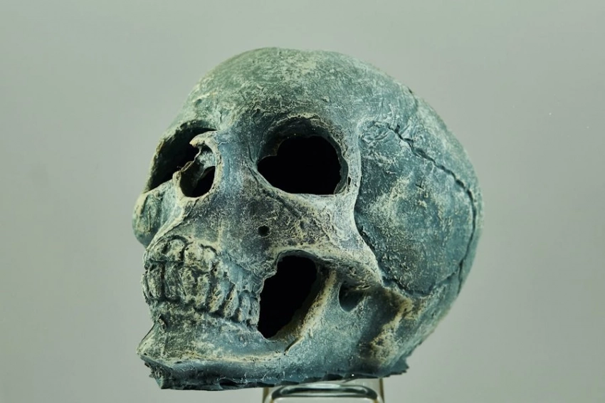 Тайна окружает ископаемые останки Homo возрастом 300 000 лет