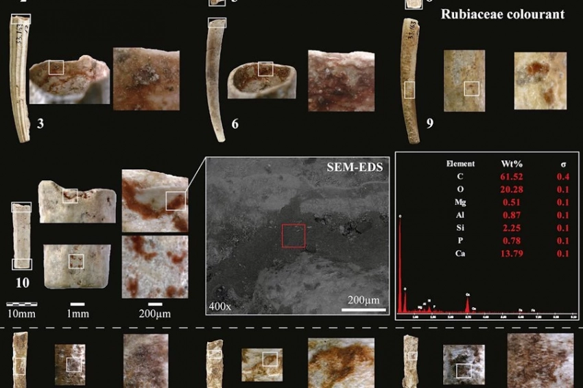 Натуфийцы обладали навыками изготовления краски 15000 лет назад