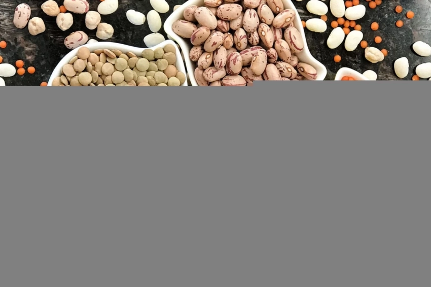 Ученые: бобовые по содержанию белка могут конкурировать с мясом