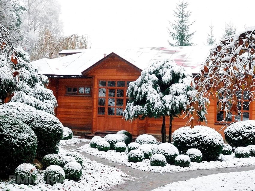 Профессиональные советы от королевского садовника, что сделать в саду в январе