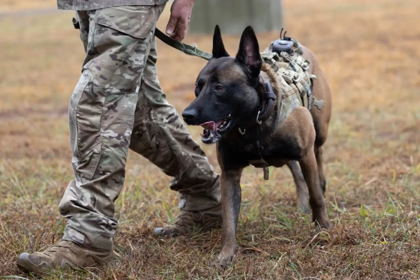 Загадочно исчез отставной генерал США, ранее курировавший проект по изучению НЛО